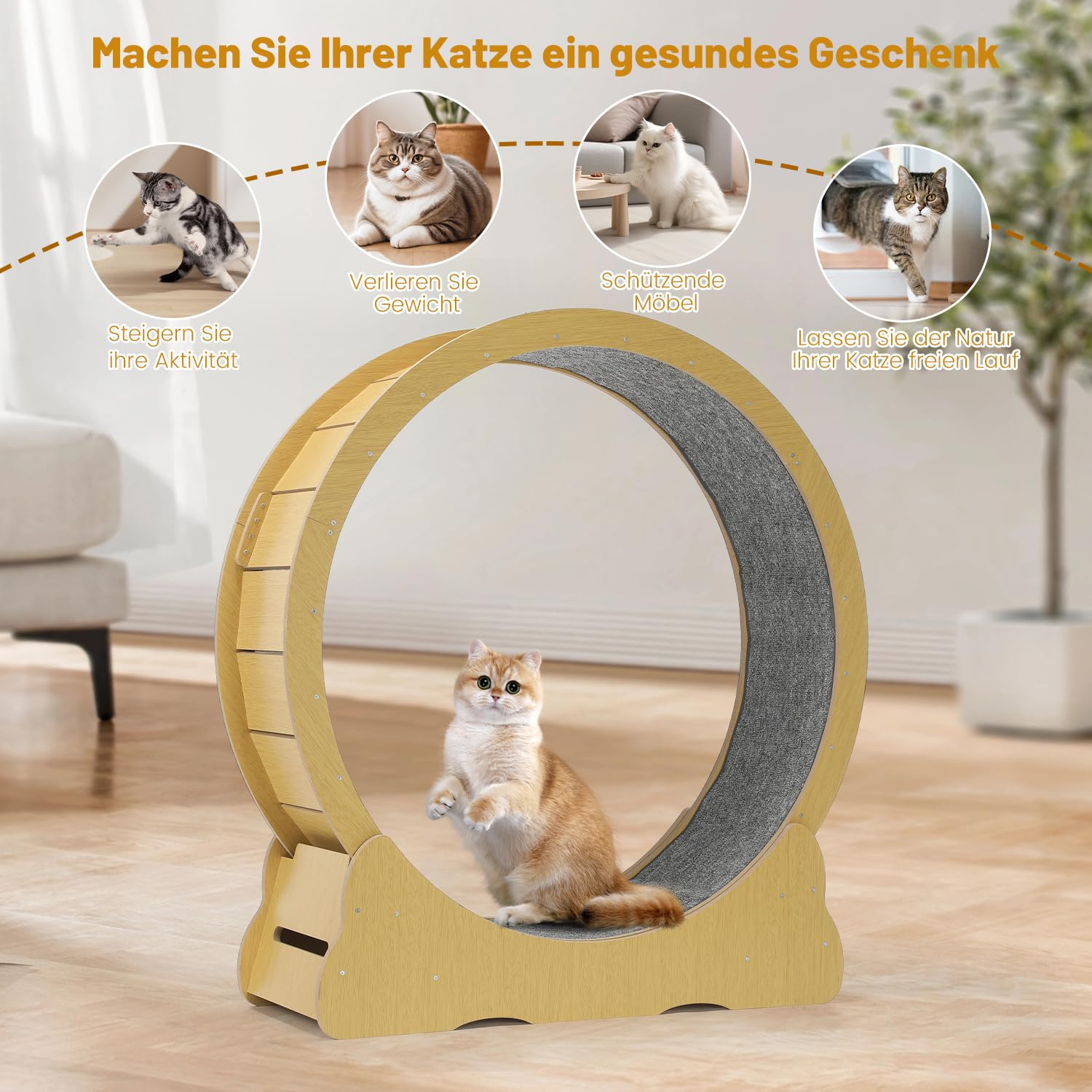 100cm Katzenlaufrad Indoor, großes Katzenrad aus Holz mit Teaser, leises Laufrad für Katzen 2-22kg, Katzen Treadmill mit Sicherheitsschloss & Rutschfester Lauffläche, für Wohnung und Haus, Gelb
