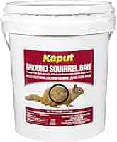 【美品】【希少品】Squirrel Bait Amazon.com : Squirrel Butter Paste Bait 8 Oz | Sweet Scented
