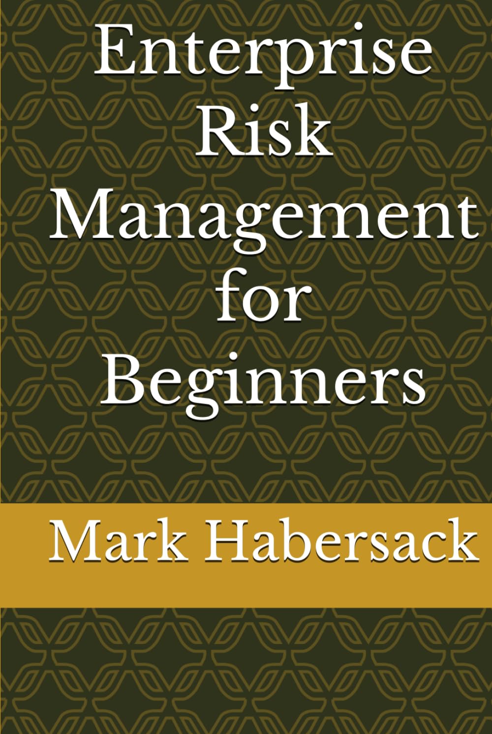 Enterprise Risk Management for Beginners