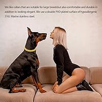 Vista 4 de Collar de cadena de oro para perro, acero inoxidable, oro de 18 quilates, ajustable, eslabones cubanos de metal a prueba de mordidas, cadena