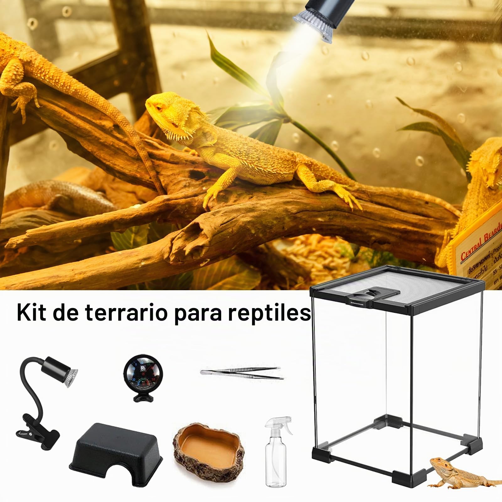 Set de Terrario, Terrario Reptiles de Vidrio de 20 x 20 x 30 cm Kit de Terrarios con Lámpara para Reptiles Termómetro Tanque Pequeño con Diseño de Piedras Comedero Pinzas y Regadera Pequeña