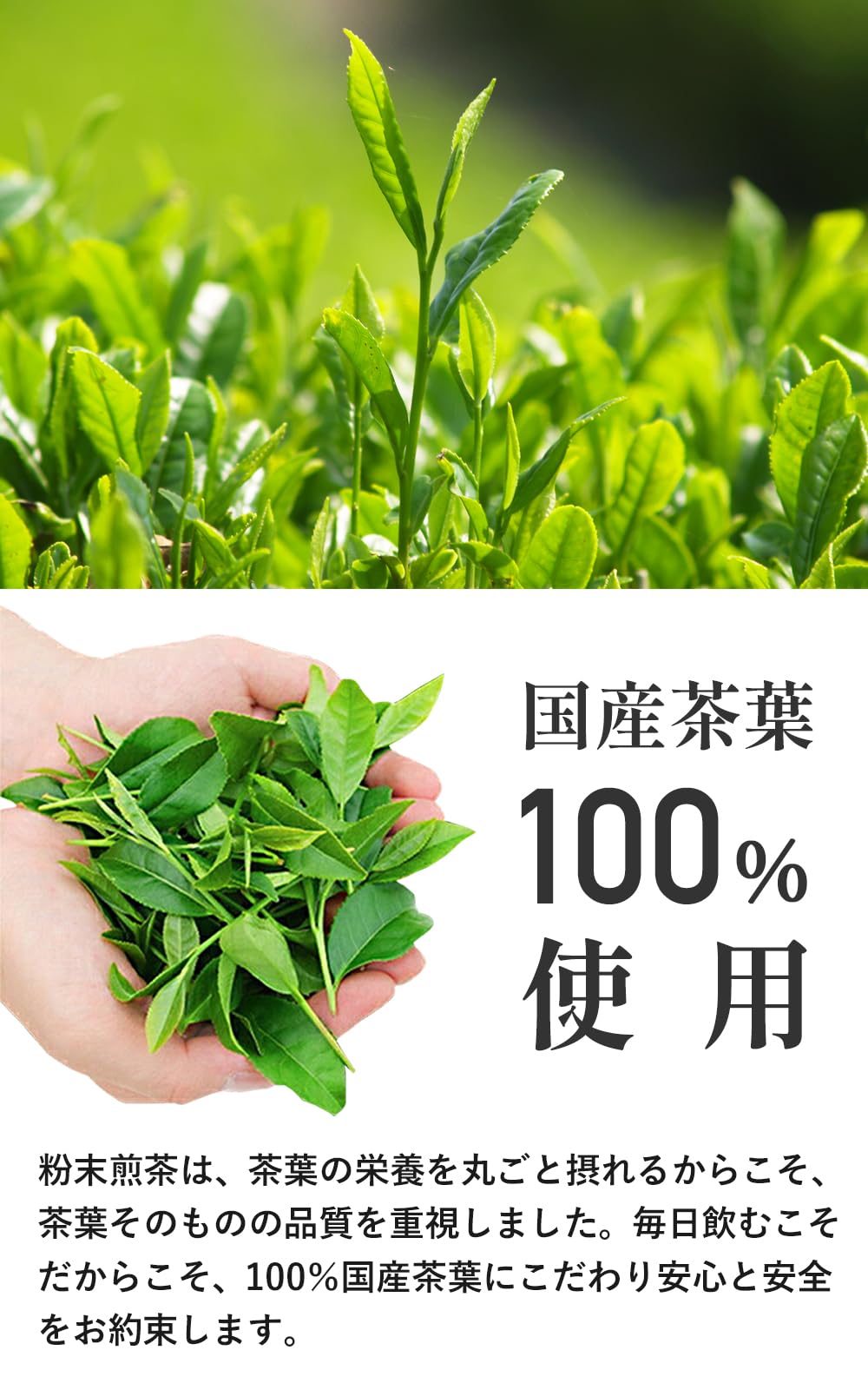 Amazon.co.jp: 終 京都・宇治田原製茶場 粉末煎茶 さらっと 緑茶