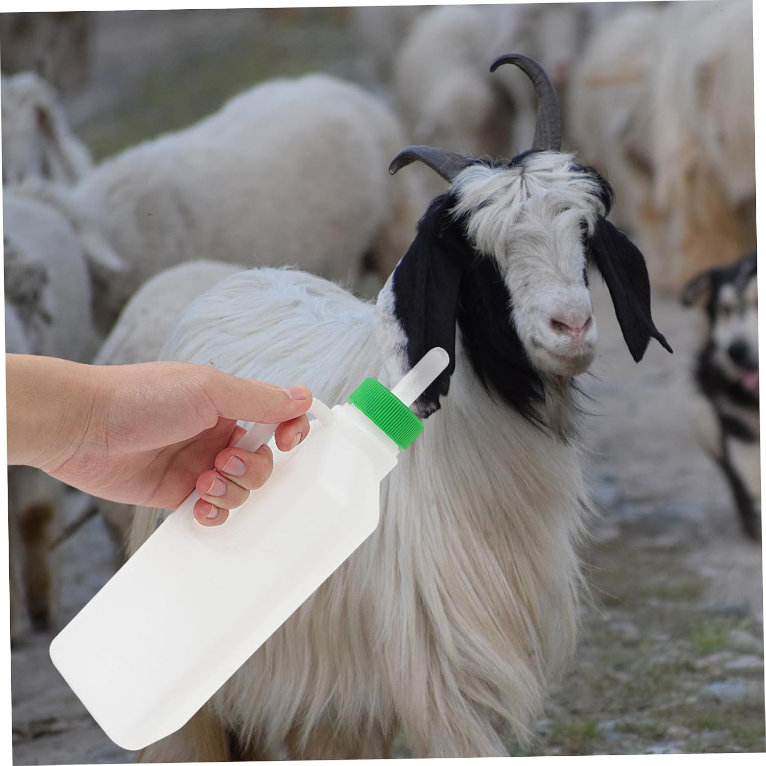 6pcs Nursing Bottle Nipples for Animals Bite Resistant Wear Resistant Feeding Nipples for Lambs Goats Calves with Milk Flow and Air Intake Valve