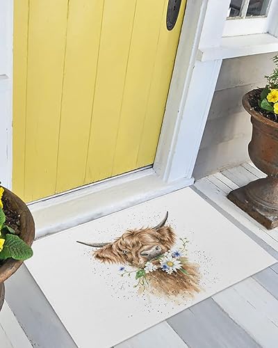 Miniatura 7 de Tapete para puerta delantera, antideslizante, absorbente, para entrada, para interiores y exteriores, alfombras pequeñas de vaca de las tierras