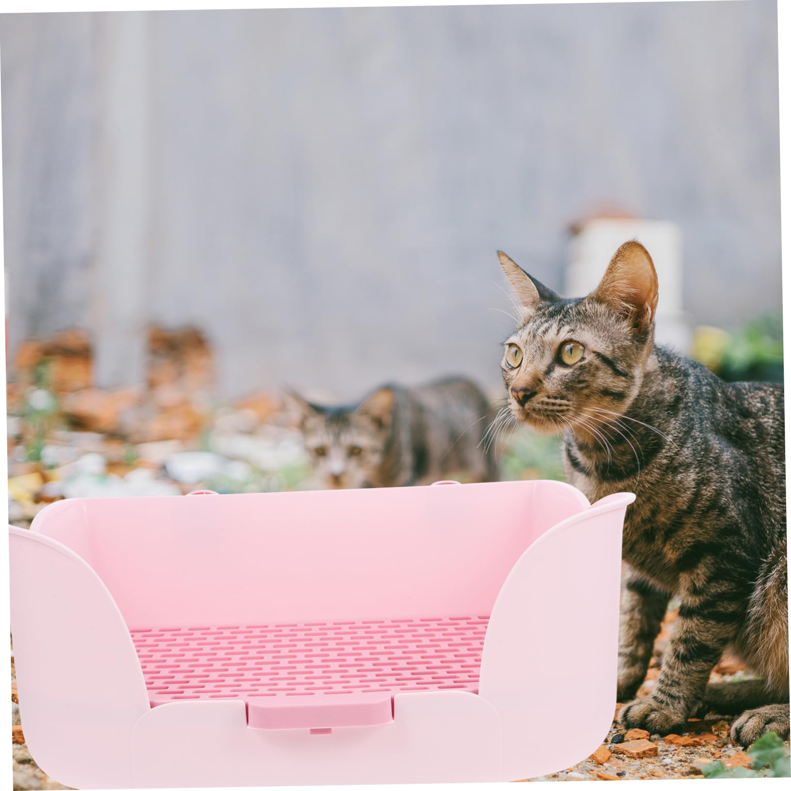 Lettiera per Piccoli Animali Scatola Toilette per Conigli e Cavia Design Pratico e Colore Vivace per Ambienti Puliti e Confortevoli