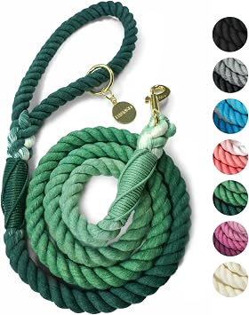 DJANGO Cotton Rope Dog Leash 5ft Handcrafted Dog Leash and Green Braided Leash for Small, Medium, Large Dogs Durable 5 Foot Training Lead with Gold Hardware and Whipped Ends Forest Green Ombre