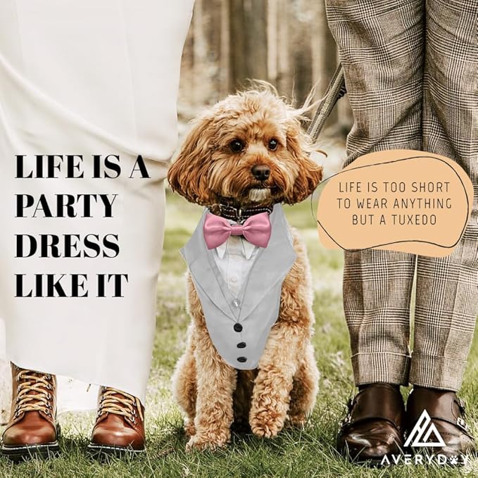 Traje de Tuxedo para Perro AVERYDAY con Corbata de Moño miniatura 4