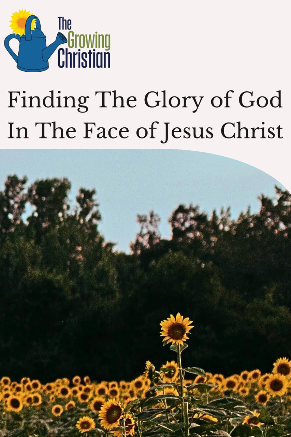 Finding The Glory of God In The Face of Jesus Christ