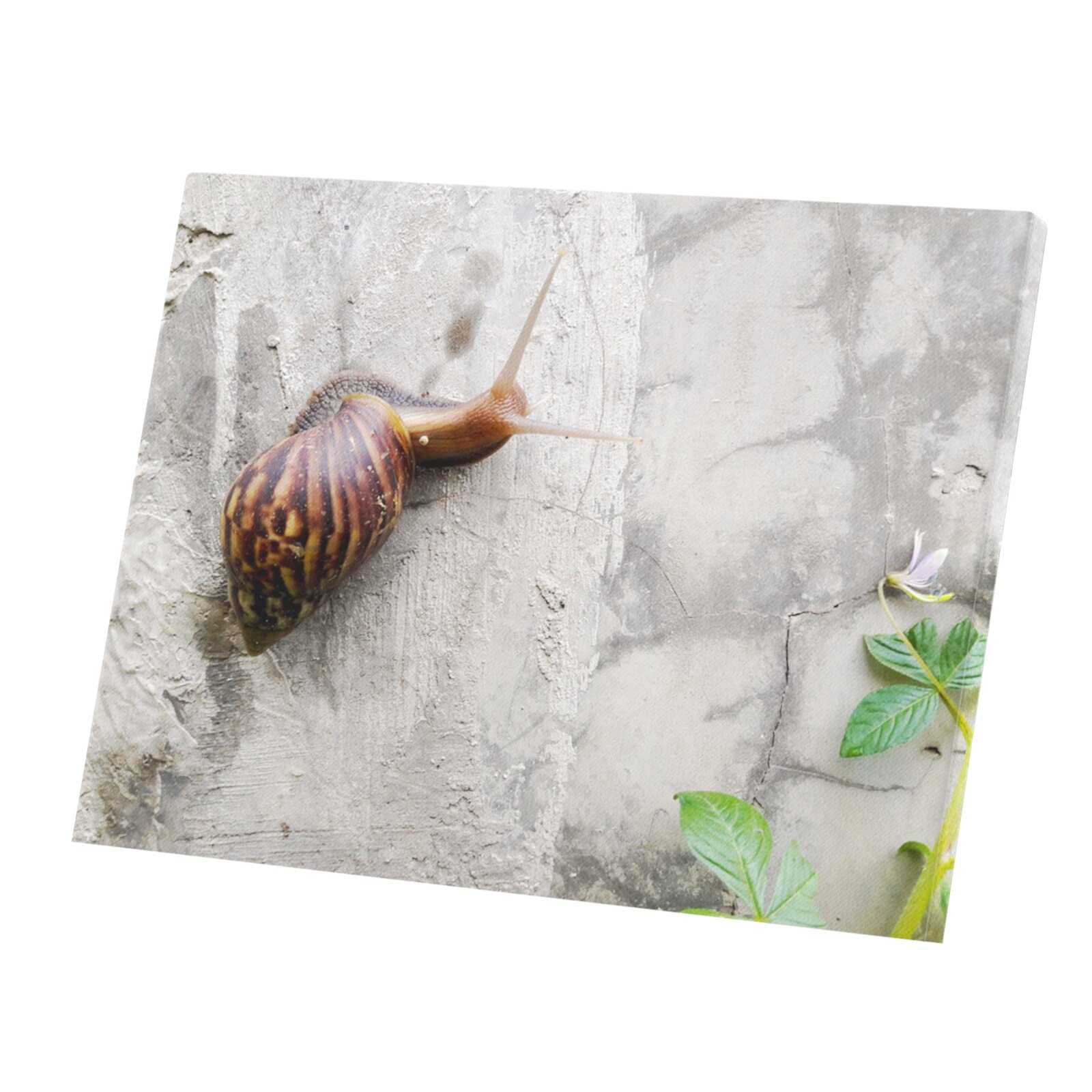 Tableau Décoratif Toile Imprimée Escargot Fleur Violette 53x40 cm