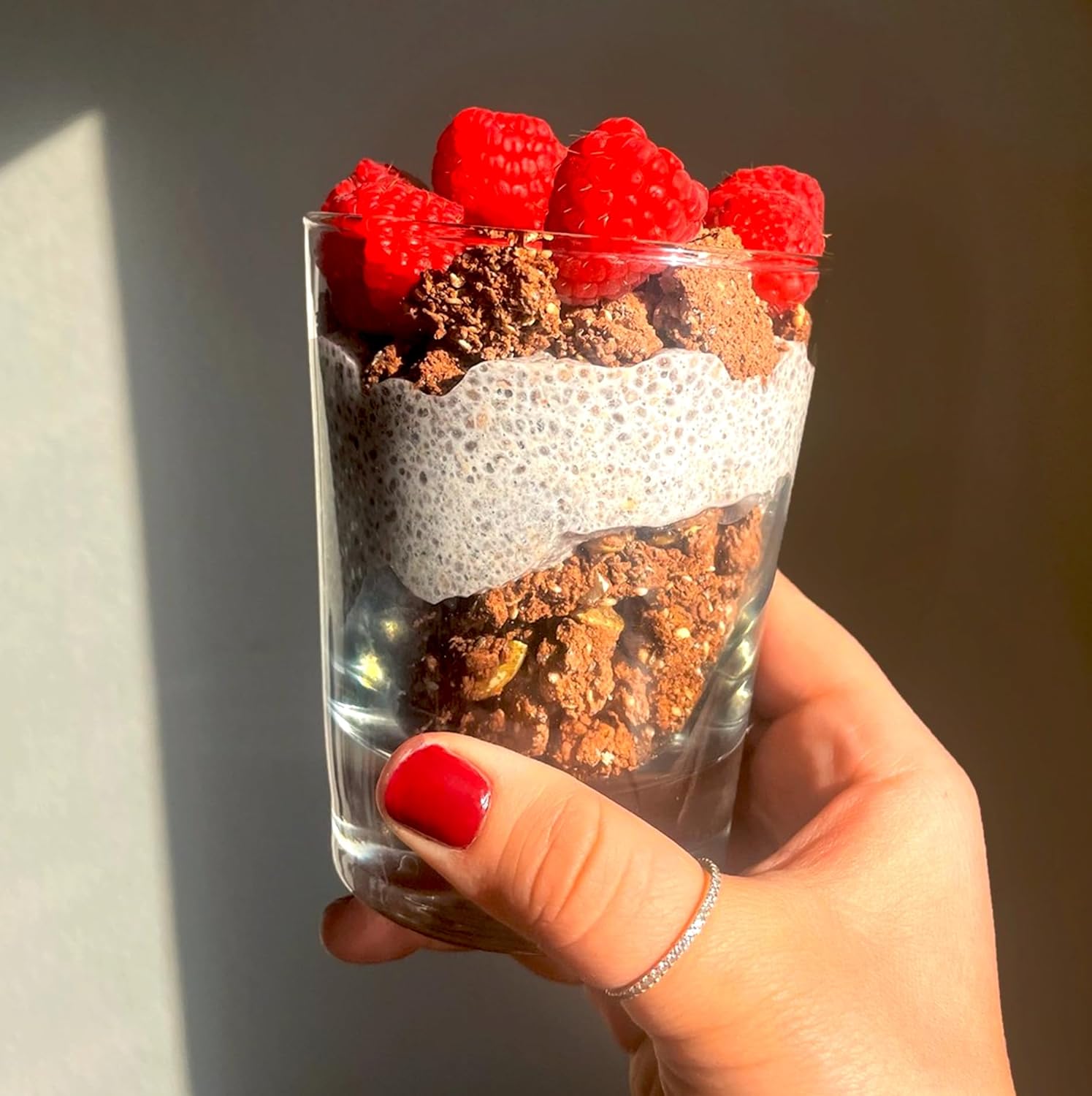 ® ProGranola® Cereal | Chocolate | Protein | Paleo | 2 Net