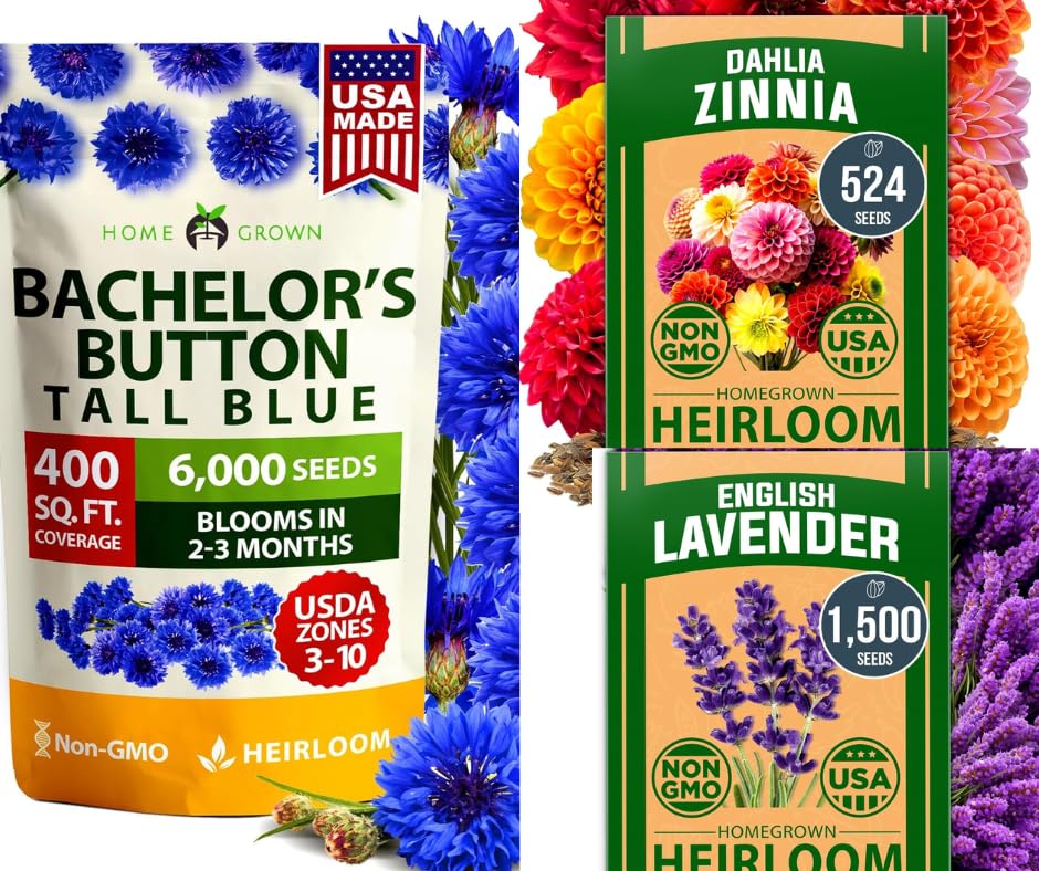 HOME GROWN Bachelor Button Seeds Tall Blue 6000 & Zinnia Dahlia 5...