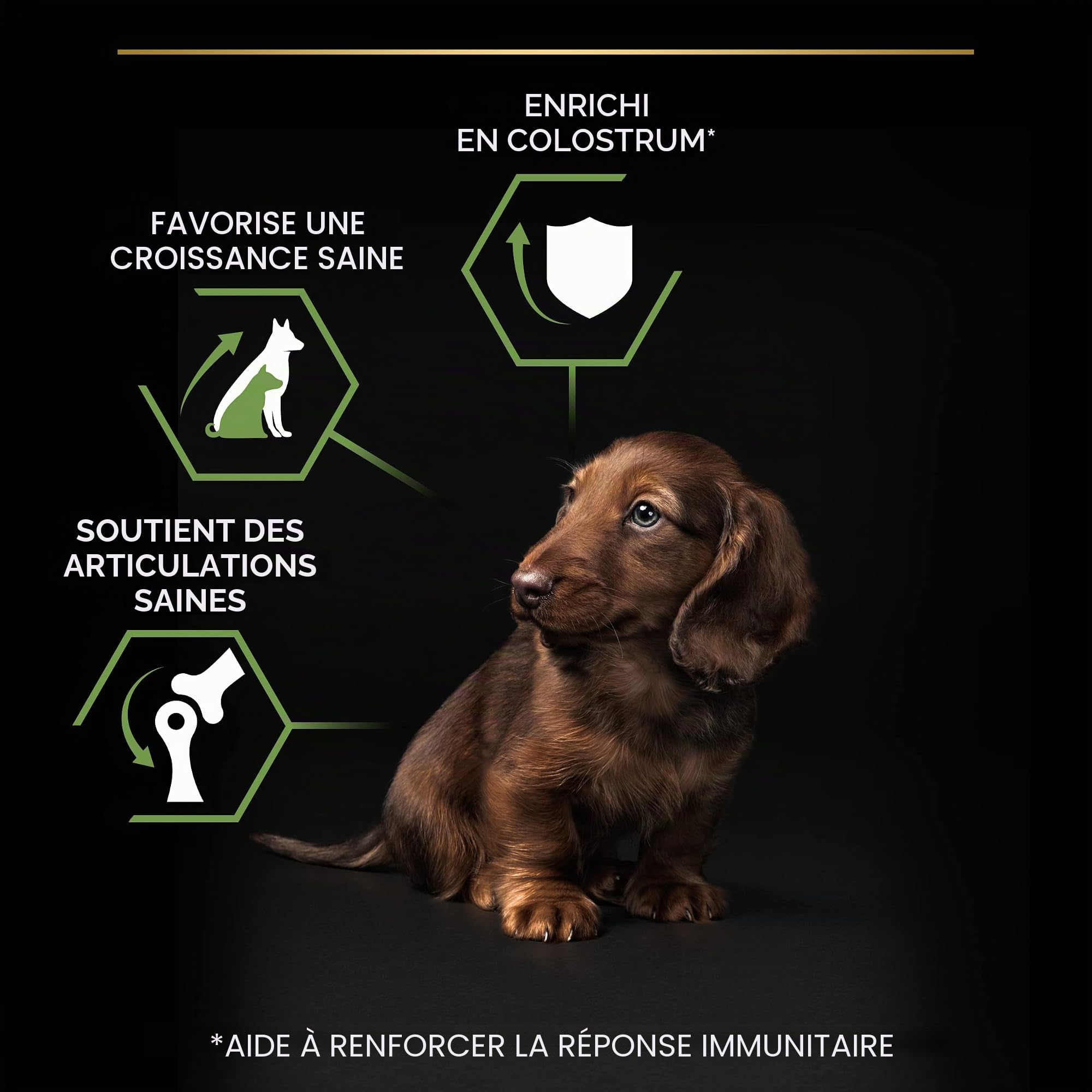 Purina Pro Plan Lot de 4 Petits Chiots et Mini avec OPTISTART Poulet 3 kg