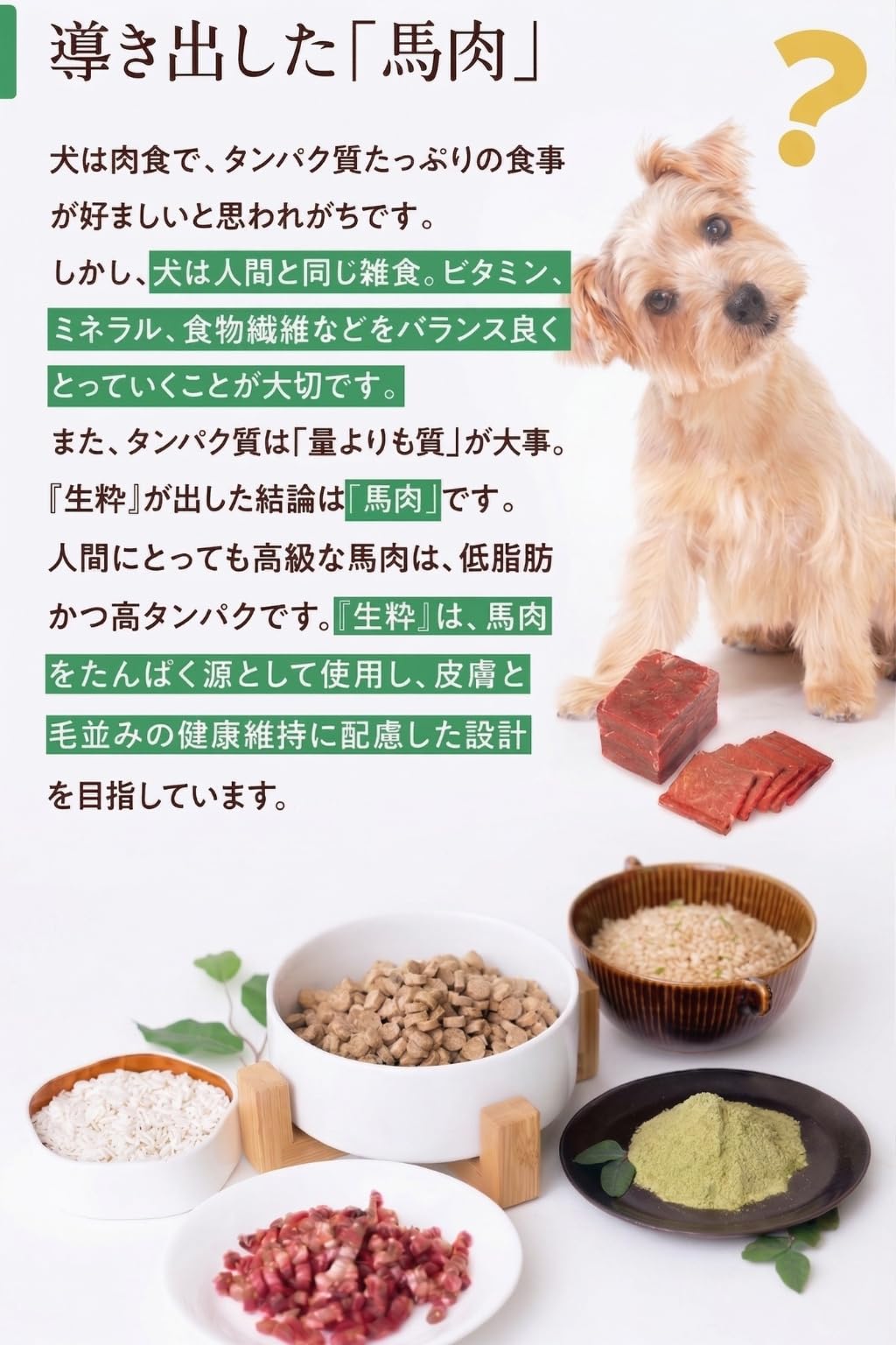 Amazon.co.jp: DOCTORS'MADE ドクターズメイド 生粋 ドッグフード 1.5