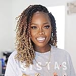 ToyoTress Tiana Passion Twist Hair - 12 Inch 2 Pcs Pre-twisted Crochet Braids Ombre Brown Blonde, Pre-looped Synthetic Braiding Hair Extensions (12 Inch, OT30/27-2P)