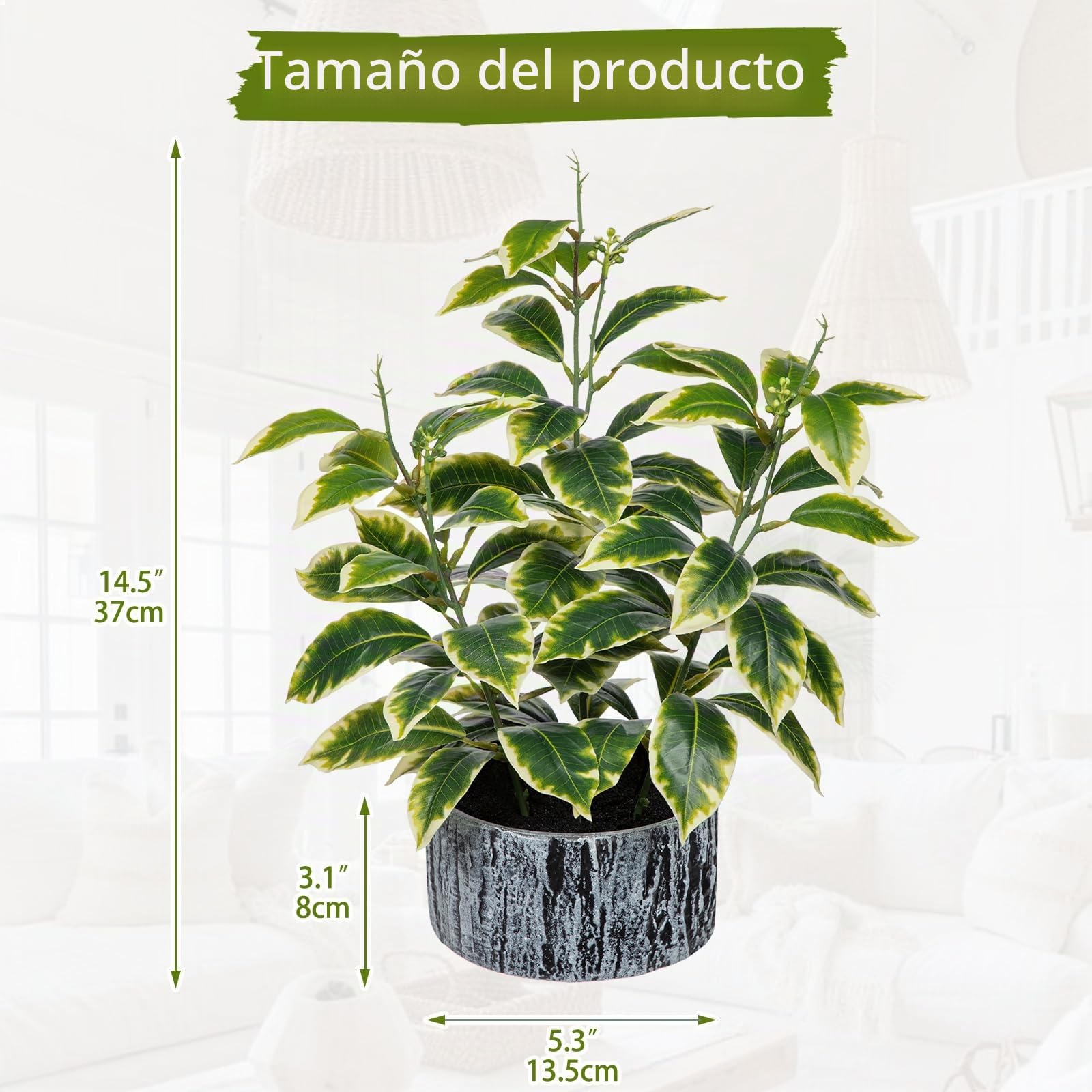 Plantas falsas de 14.5 pulgadas de alto en macetas, plantas artificiales de hojas con bordes blancos para interiores, plantas verdes sintéticas con macetas a rayas blancas y negras, vegetación