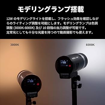 Amazon | 【国内正規品】 GODOX 大光量フラッシュ AD300 Pro