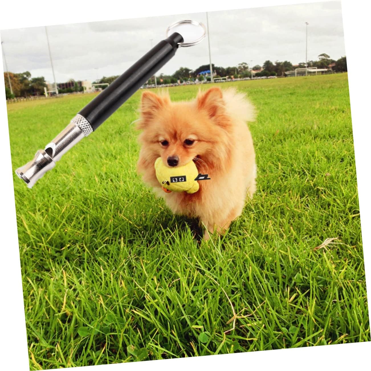 Dog Training Whistle with Frequency Bark Control Device for Dogs Non-Corrosive Plated for Obedience Training Black