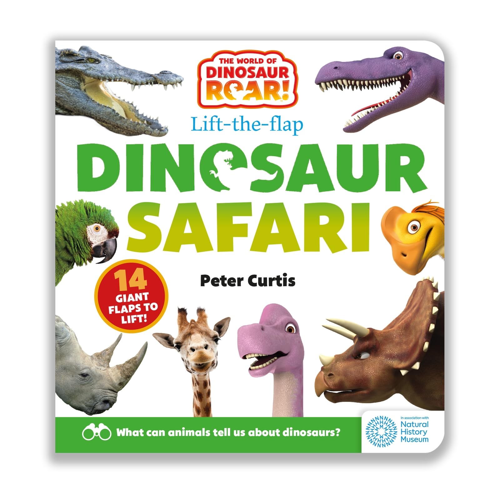 Dinosaur Safari: A Lift-the-Flap Book (The World of Dinosaur Roar!)