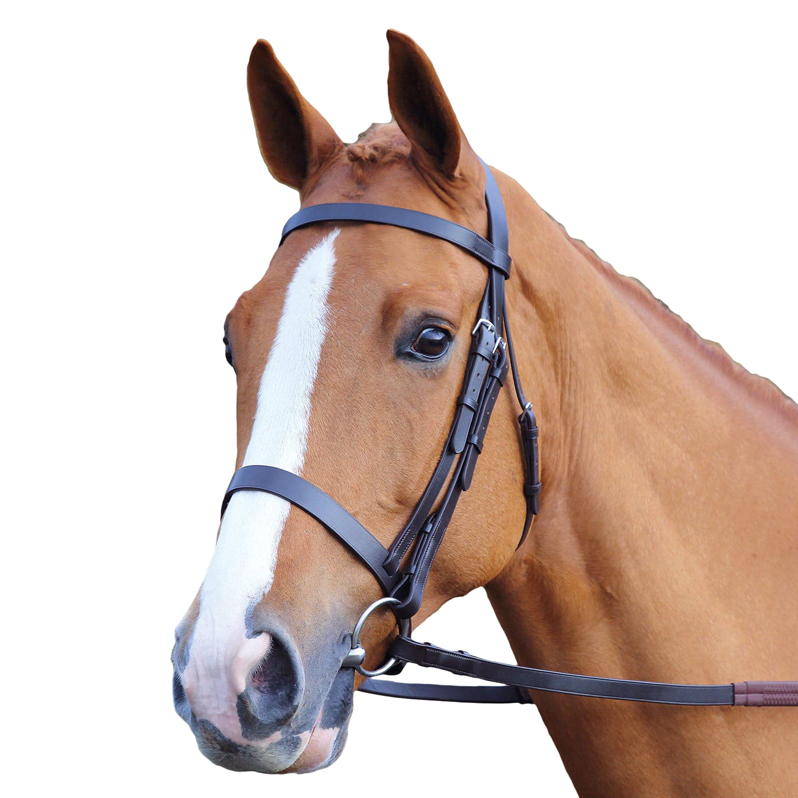 Shires Aviemore - Puente Liso con rieles de Agarre de Goma, Color Negro