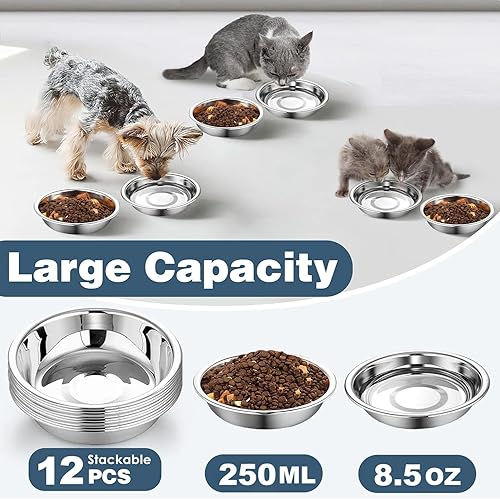 Miniatura 2 de 12 cuencos gruesos de acero inoxidable para gatos, 5.5 pulgadas de ancho poco profundo, de metal, para gatitos, aptos para bigotes, repuesto para