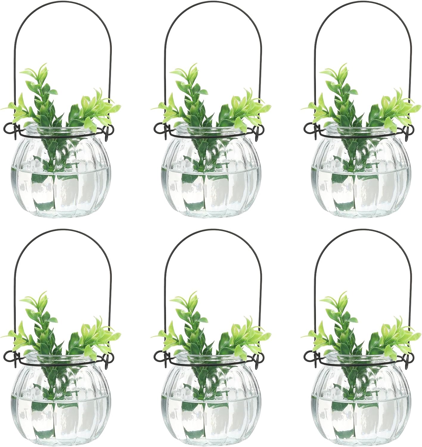 PATIKIL Pumpkin Glass Terrarium Planter 2.3 Inch, 6 Pack Air Plant Wall Hanging Pot DIY Interest Plant for Home Decor Garden Office, Clear
