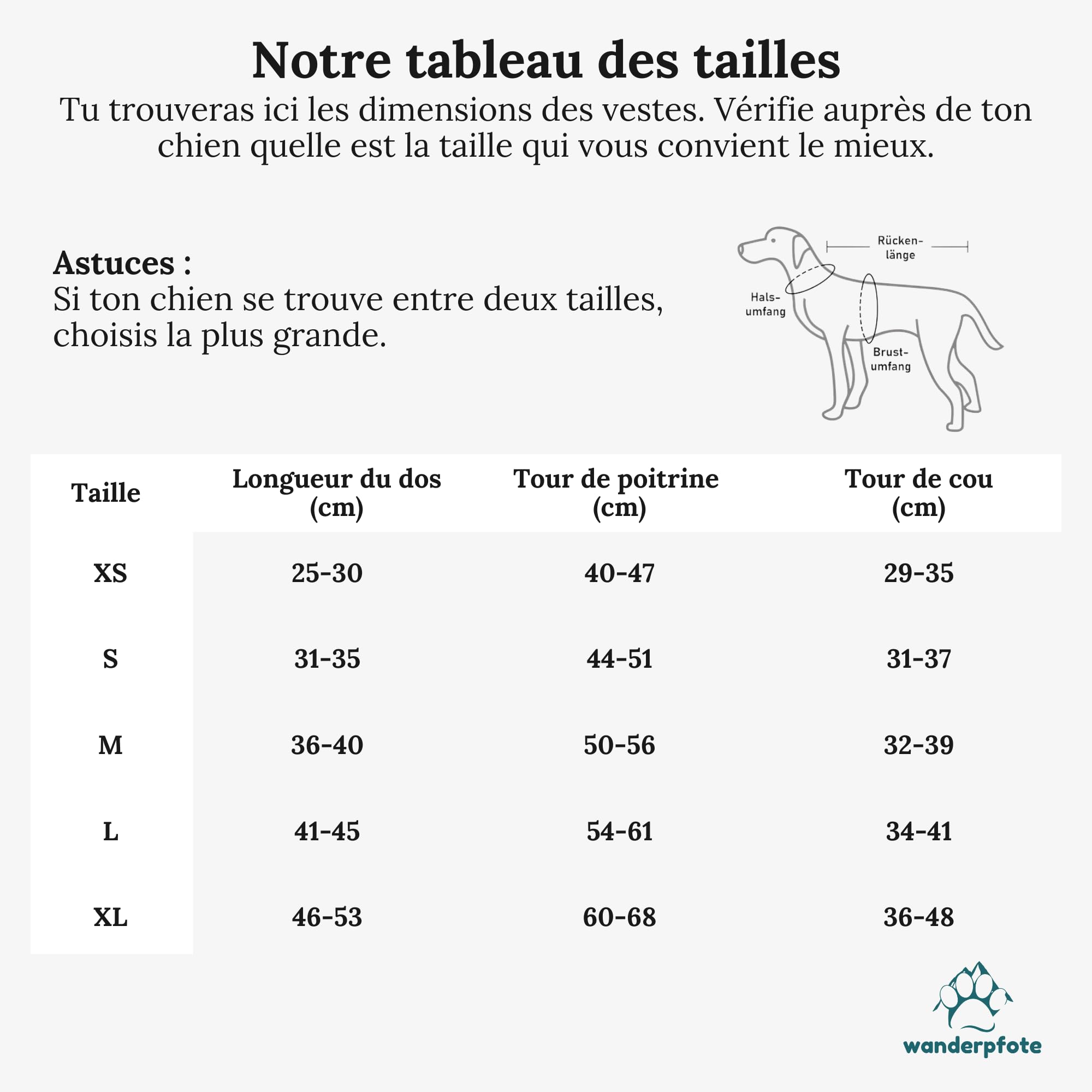 Manteau de pluie pour chien gris - Taille XL - Manteau pour chien élégant et élégant - Veste imperméable pour chien - Idéal pour les chiens de petite et moyenne taille - Veste de pluie