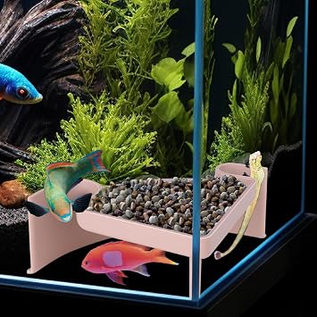 Aquarium Cave Hideout with Viewing Window Corner Fish Tank Tunnel for Pleco, Cory Catfish, Kuhli Loach, Shrimp, Betta 2-Hole Plastic Bottom Dweller Shelter Fish Hiding Spot Decor 5"x5"x2"