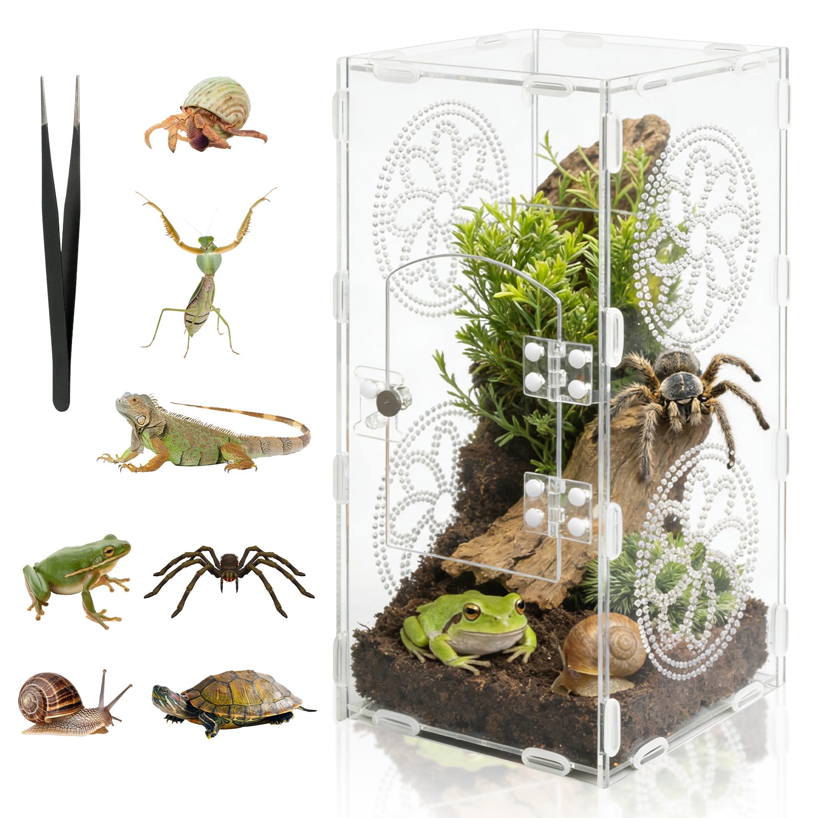 DARENYI Acryl Reptil Terrarium, 30 x 15 x 14cm 360° Transparente Faunabox Enthält Pinzette, Atmungsaktiv Reptilien Aufzuchtbox, Reptilien Fütterungsbox für Springspinne, Eidechsen, Schnecken, Insekten - 2