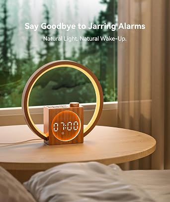 Dreamegg Touch Bedside Lamp Daylight Alarm Clock with USB Charging Function