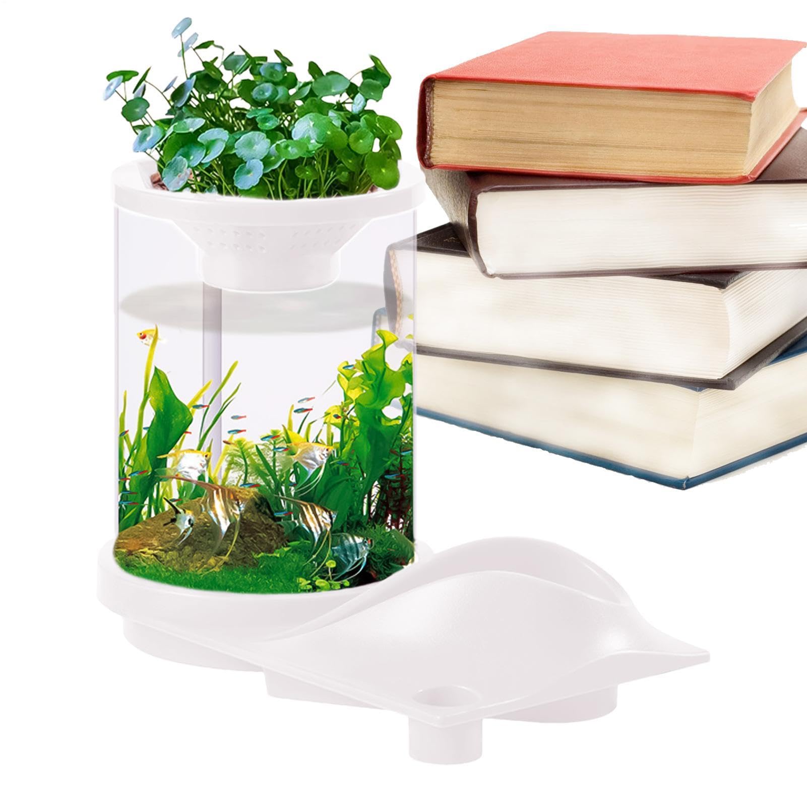 Decoración de ecosistema de tanque acuapónico pequeño