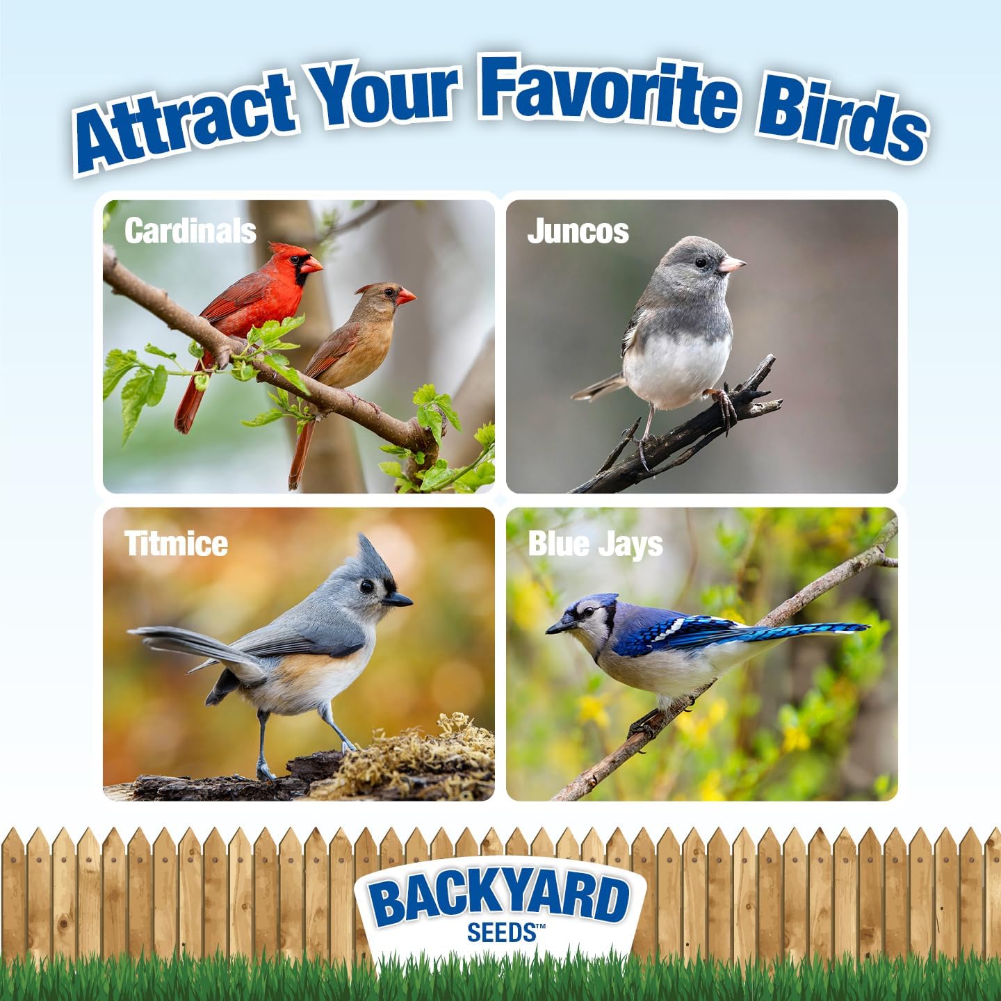 CountryMax Coarse Sunflower Hearts for Birds 10lbs - Premium No-Shell Bird Seed for Outside Feeders, Small Bag of Wild Bird Food