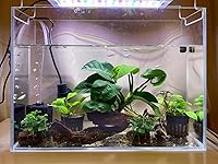 Review Image by Summer Summer