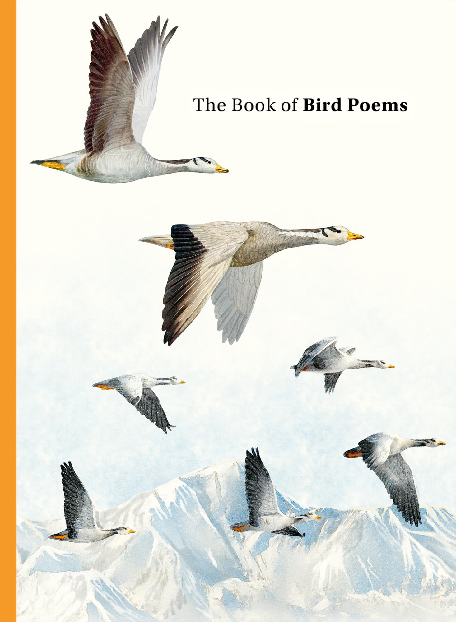 The Book of Bird Poems By Sampson, Ana Ana Sampson,