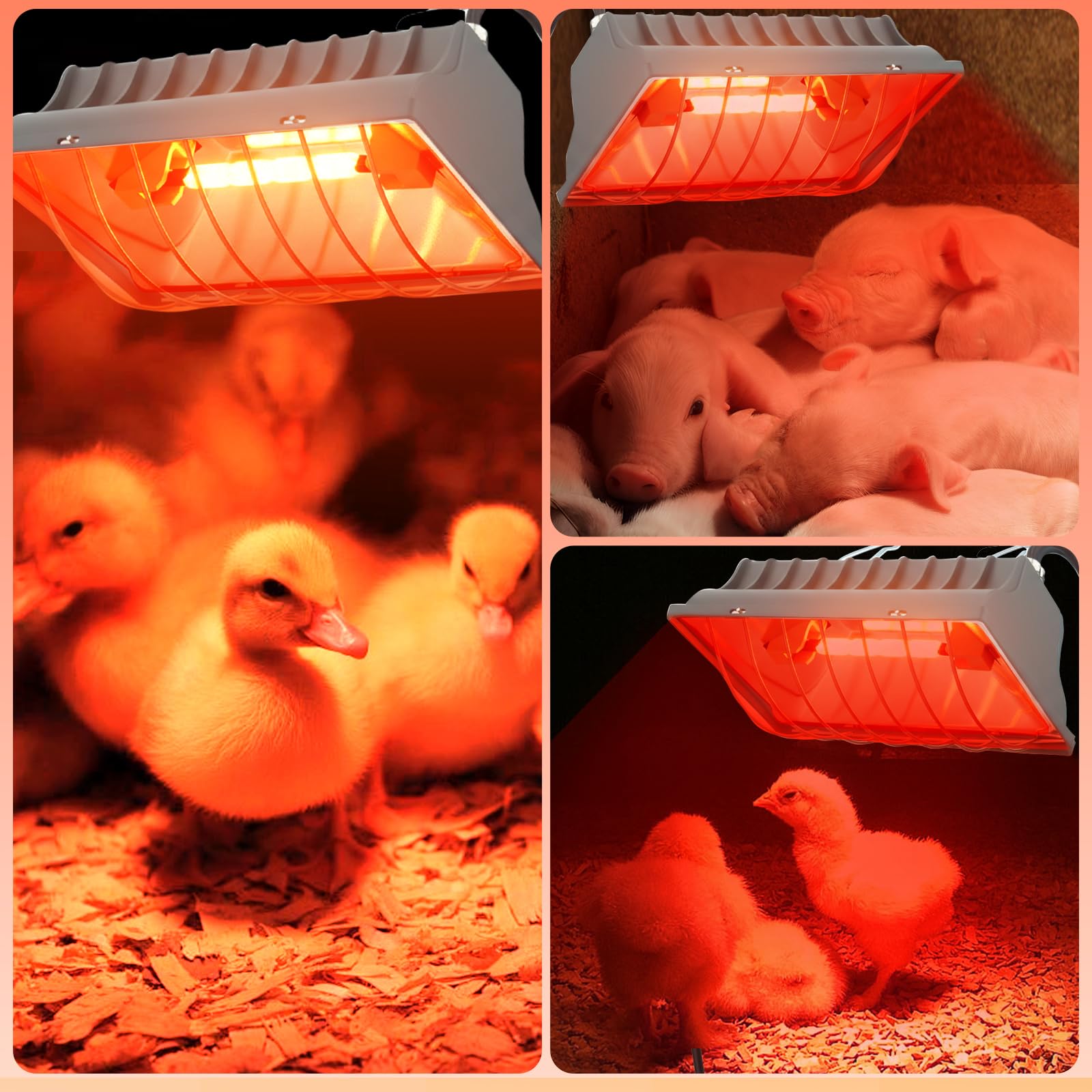Lampe chauffante pour poulailler, 250 W, lumière rouge, avec interrupteur, câble de 1,8 m, thermostat, lampe chauffante pour poules, animaux pour poussins, porcelets, chiots, etc