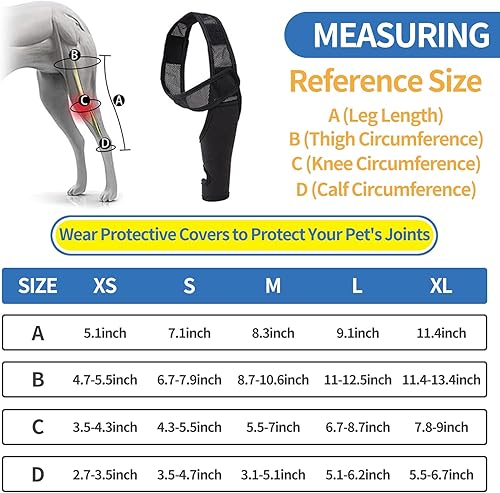 Miniatura 4 de Rodillera para perro  Soporte para displasia de cadera del ACL desgarrado, artritis y lesiones de ligamentos, comodidad para piernas delanteras y