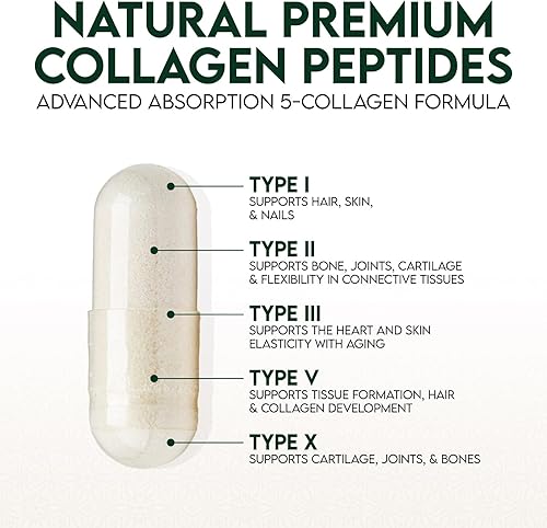 Miniatura 3 de Suplemento de colágeno múltiple de 2400 mg  Complejo de píldoras de colágeno múltiple hidrolizado tipo I, II, III, V y X, suplementos de péptidos de