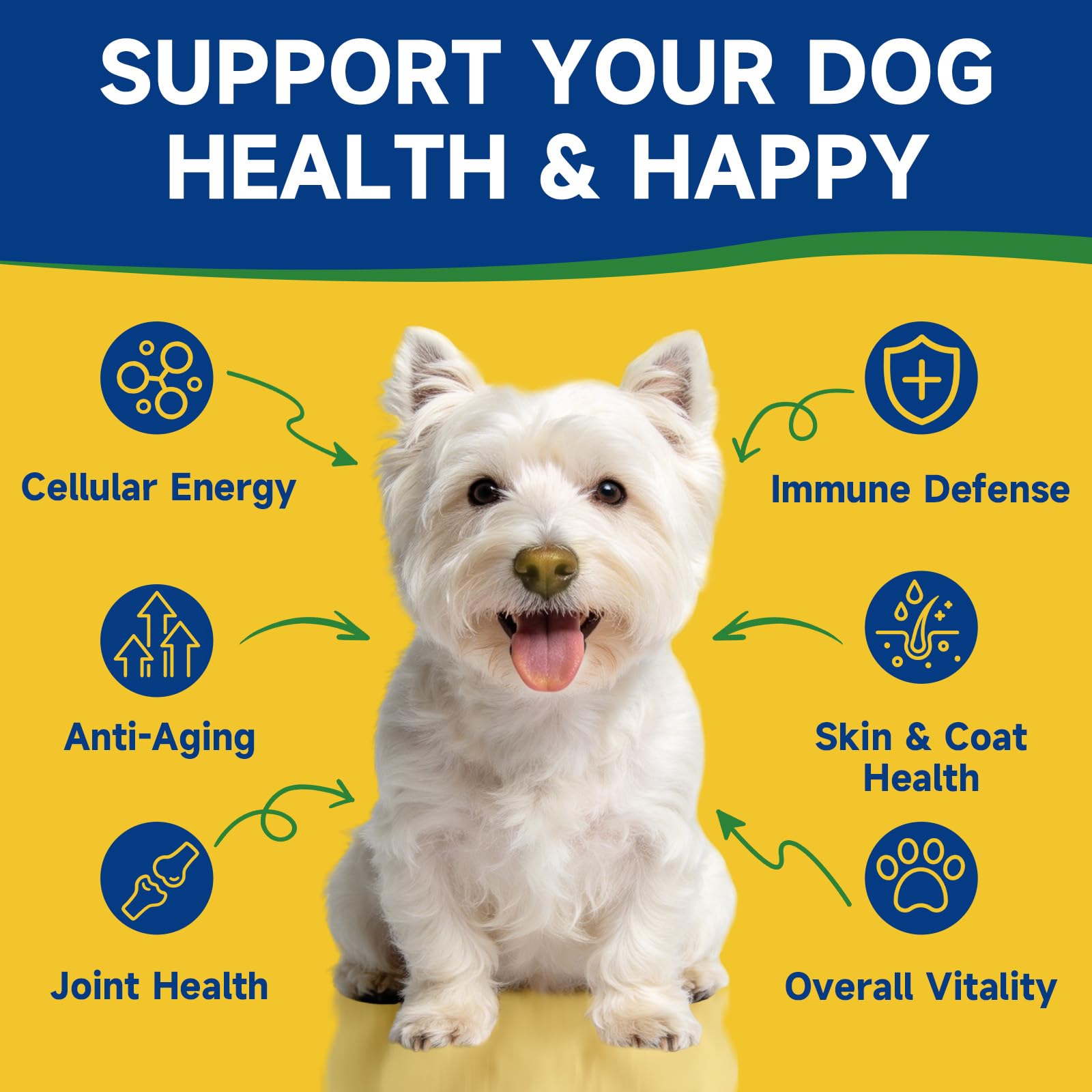 NAD+ Longevity Supplement for Senior Dogs, Vitality, Cognitive Health, 60ML — Amazon image 4