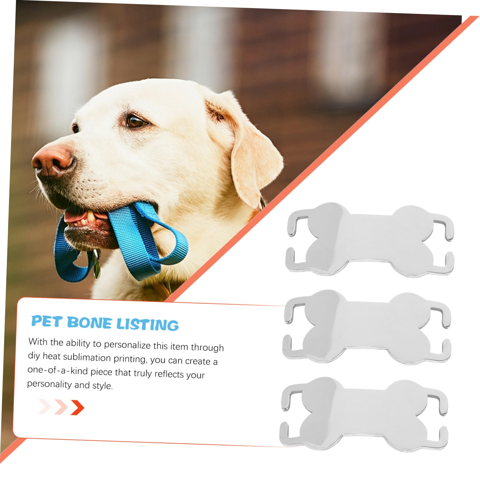 YARNOW 30pièces Médailles Identification Acier Inoxydable pour Chiens Plaques Personnalisables Os pour Animaux De Compagnie Étiquettes Vides à Graver
