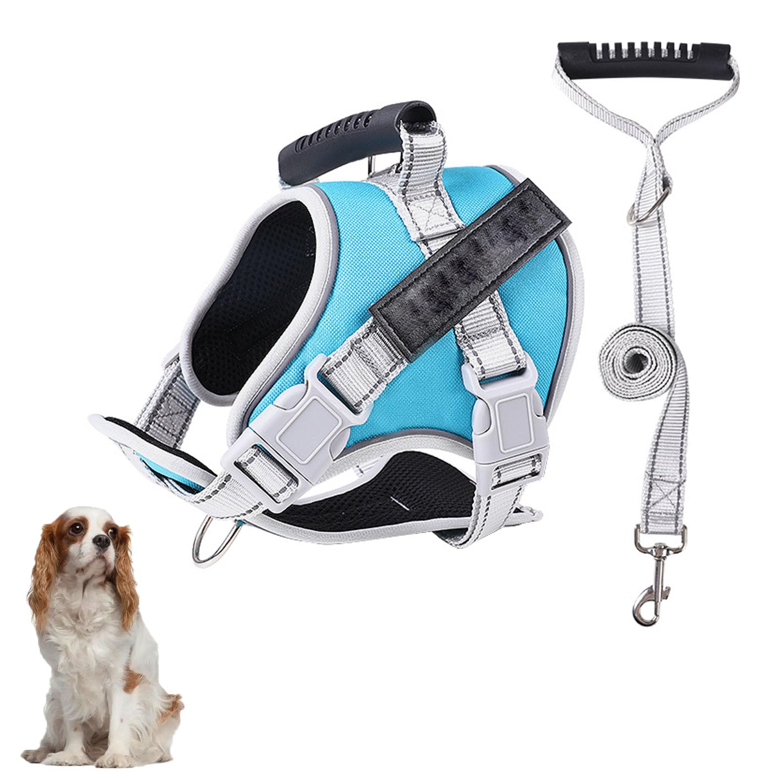 Pettorina per Cani, Imbracatura per Cani da Addestramento Senza Trazione con Maniglia E Guinzaglio per Cani da 5 Piedi, Gilet Regolabile E Riflettente per Animali Domestici,H,M