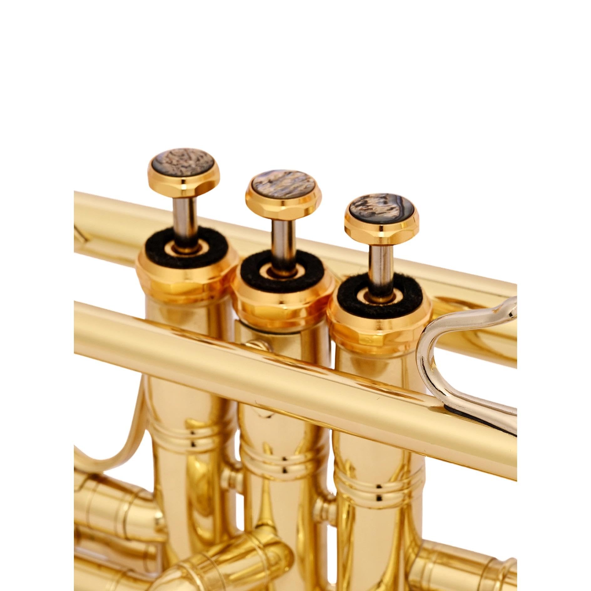Professional Trumpet Trompeta en Sib para principiantes