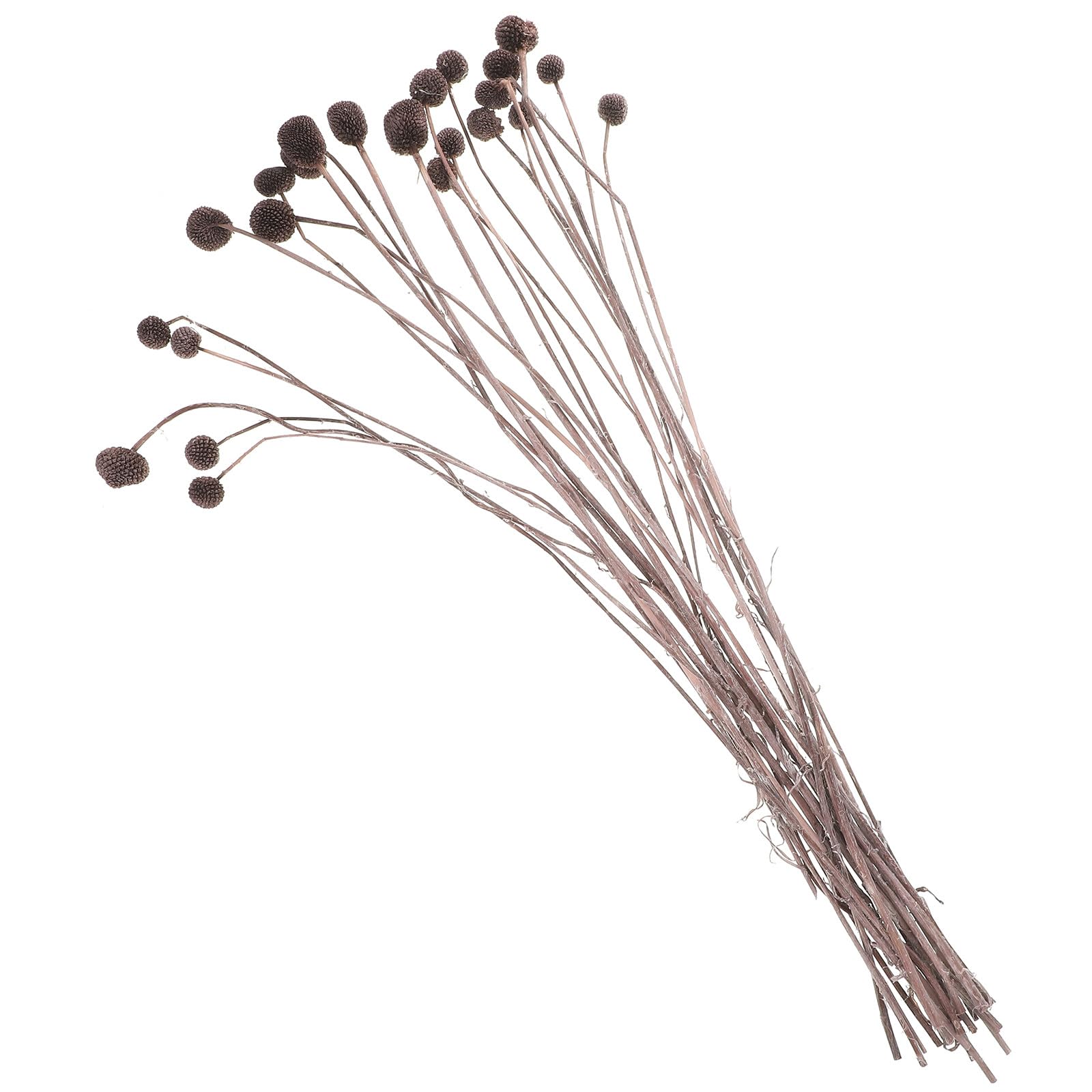 Ramo de Flores Secas de Craspedia 20 Piezas para Decoración Natural de Jarrón y Arreglos en Bodas U Oficina Material Sintético y Diseño Elegante