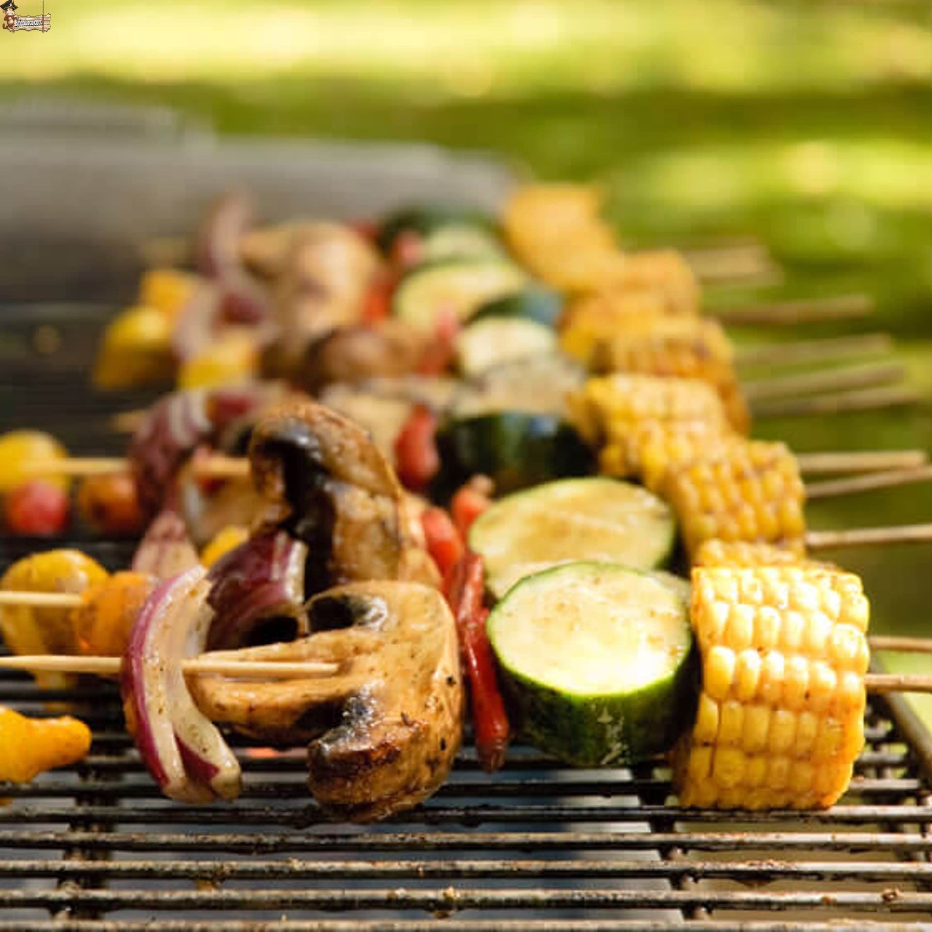 BricoLoco.com Barbacoa carbón con parrilla. Ligera y fácilmente portátil. Con patas y rejilla de refuerzo. Parrilla incluida. Para terraza, balcón, patio, jardín.