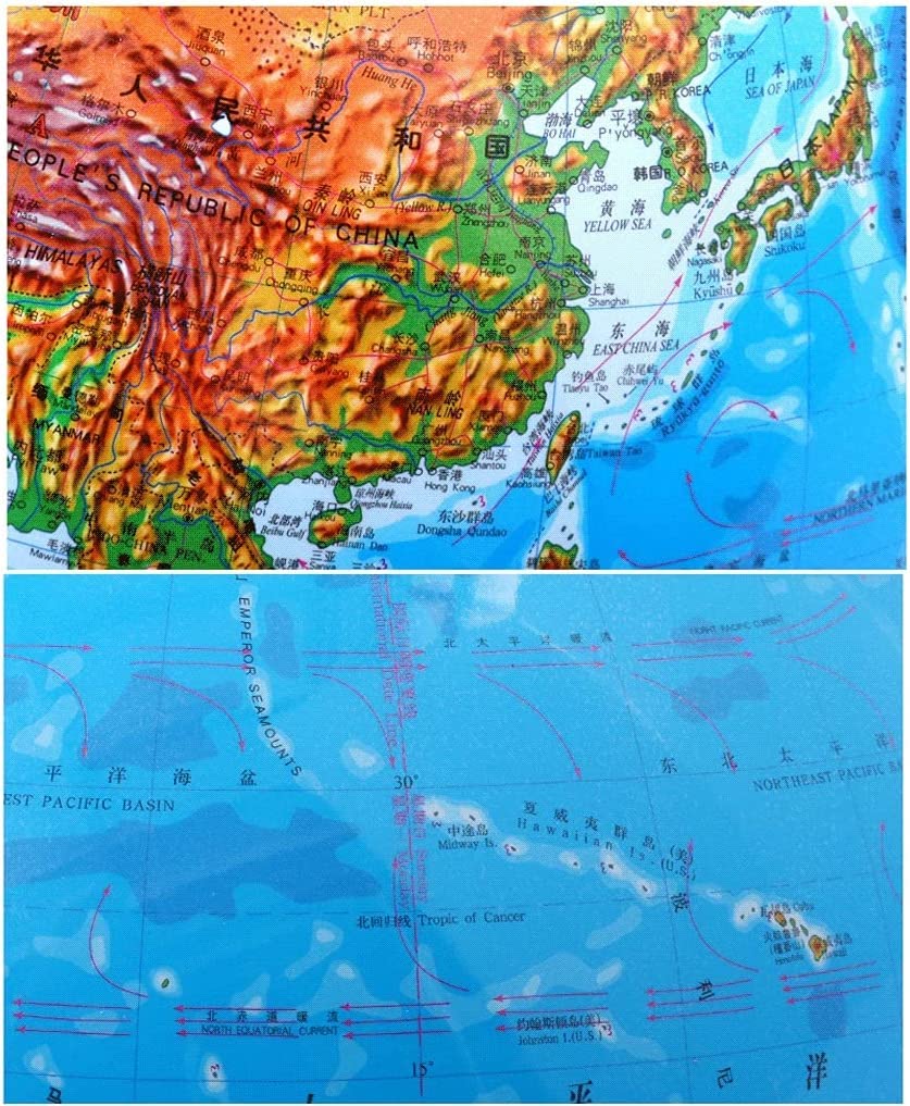 HRTC wereldbol Mappamondo con Supporto in Legno, Mappamondo Luminoso per Bambini 2 in 1 con Mappamondo Luminoso Interattivo per L'apprendimento della Terra Manuale Pratico