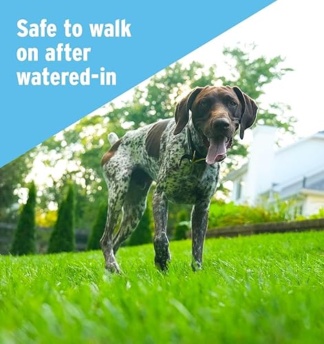 Miniatura 4 de The Andersons Fertilizante profesional seguro para mascotas 24-0-6, cubre hasta 5,000 pies cuadrados (15 libras)