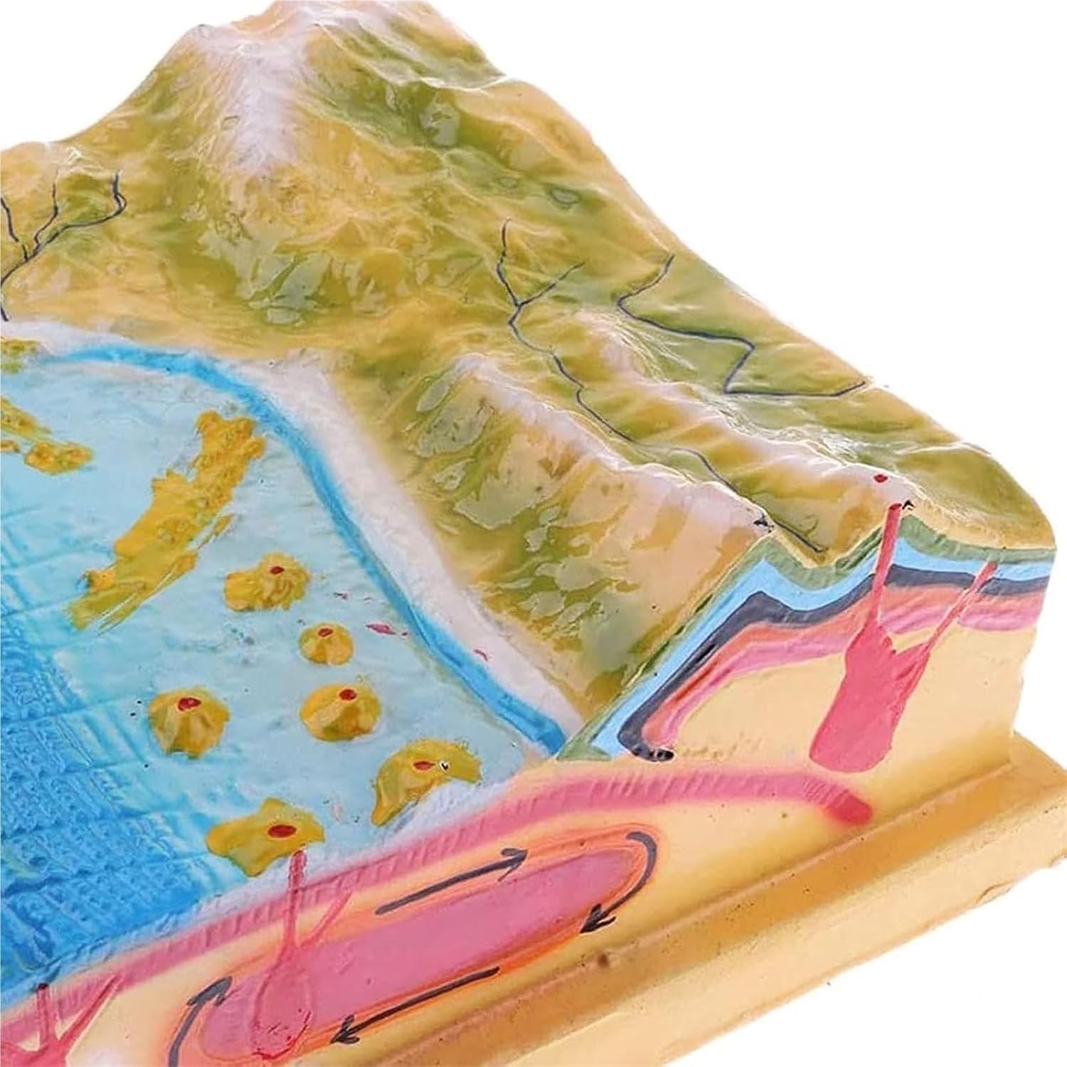Modelos de terreno científico de placas tectónicas geográficas 3D, | Material resina, material didáctico clases geología escolar, ideal exhibiciones geología en el aula, actividades aprendizaje