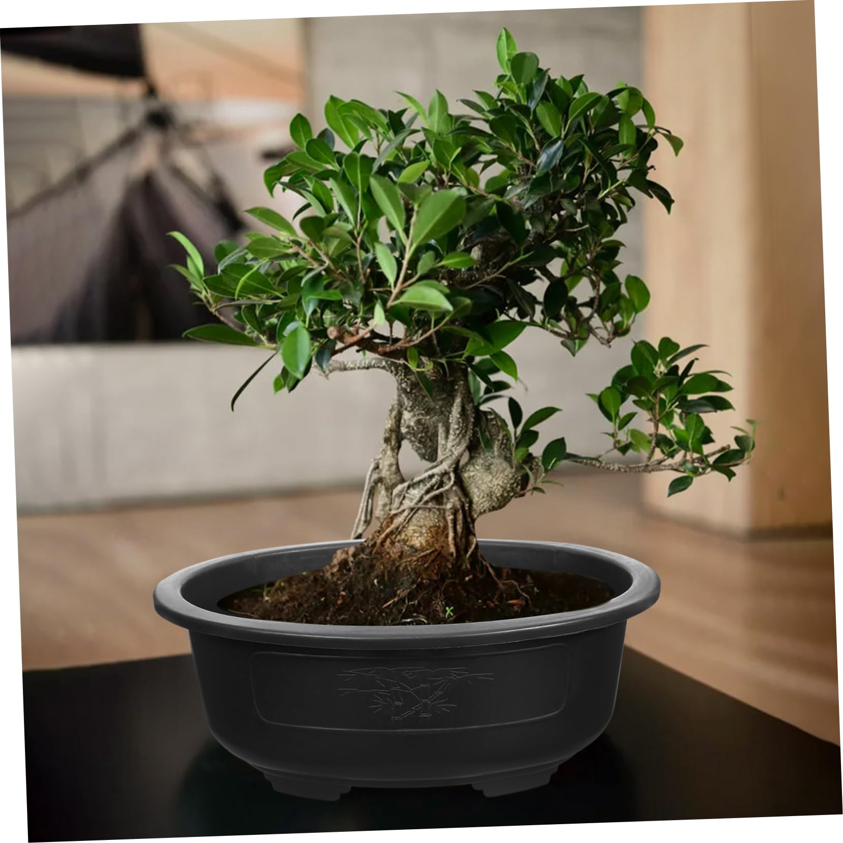 Operitacx 2 PièCes Grand Pot De Fleur Plastique avec Trou De Drainage pour Jardin Et Bonsaï JardinièRe ExtéRieure pour Plantes Succulentes Et DéCoration De Balcon
