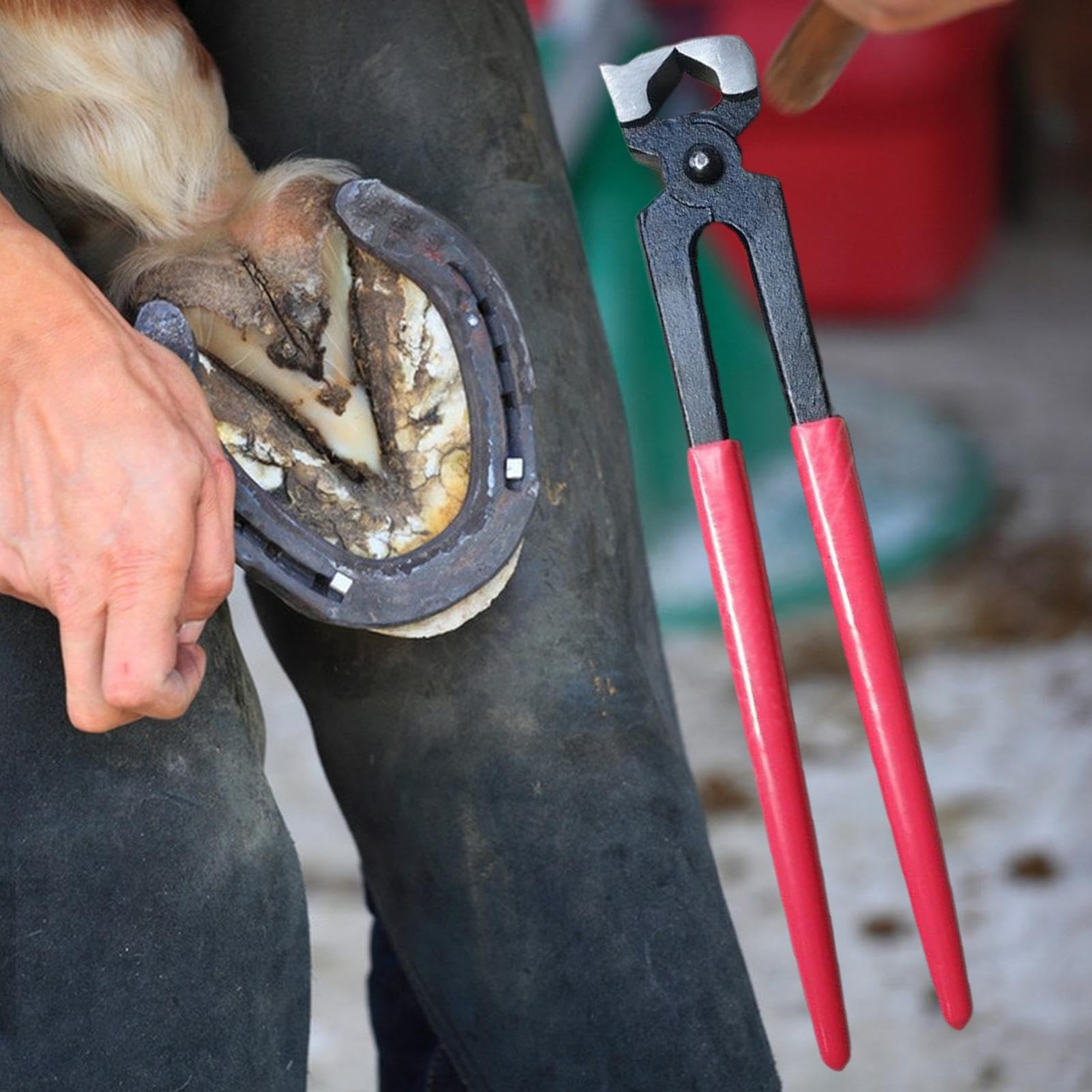 Tenaglie Da Zoccolo Per Pinze da Maniscalco Resistente | Cesoe per Unghie Ovini Per La Manutenzione E Il Taglio Zoccoli Fattoria Ranch E Scuderia