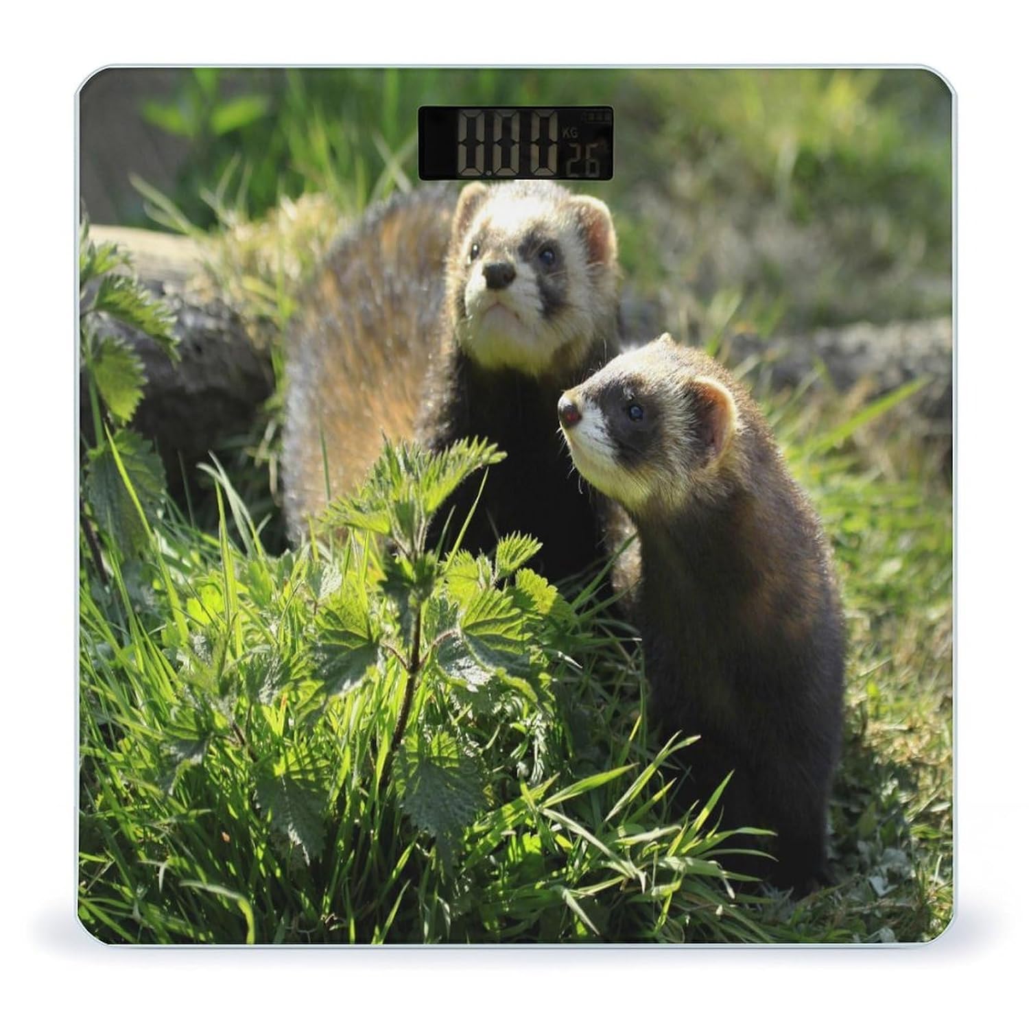 Wildlife Ferret Digital Bathroom Scale for Body Weight Tempered Glass Smart Weight Scale for People Highly Accurate Digital Weighing Machine Body Scale with Large LCD Display