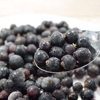 弘前産冷凍カシス20キロ 弘前産冷凍カシス20キロ 弘前産冷凍カシス20キロ 楽天市場