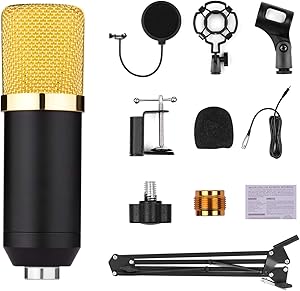 Microfono di registrazione per la radiodiffusione thumbnail classifica